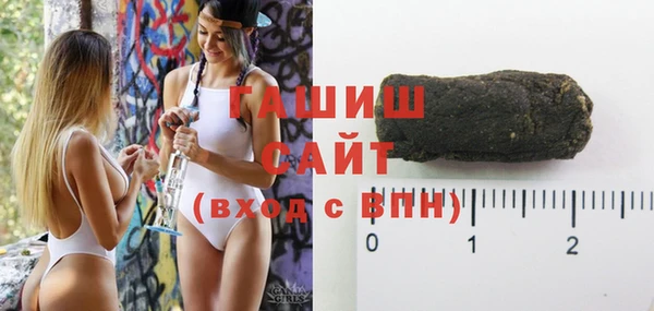 индика Няндома