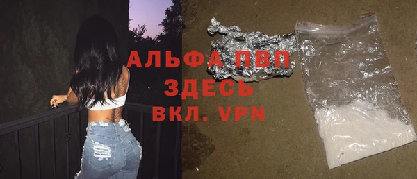 соль ск Новозыбков