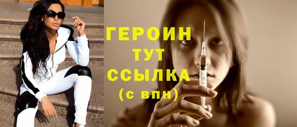 индика Няндома