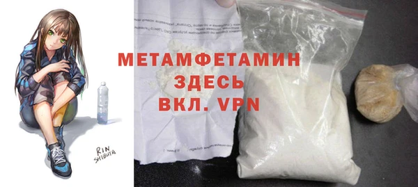 индика Няндома