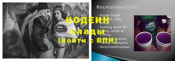 индика Няндома