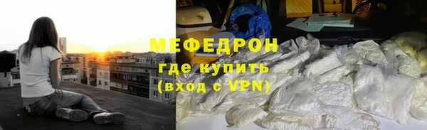 индика Няндома