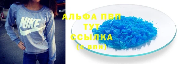 прущие грибы Новодвинск