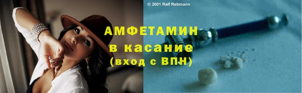 индика Няндома