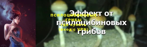 индика Няндома