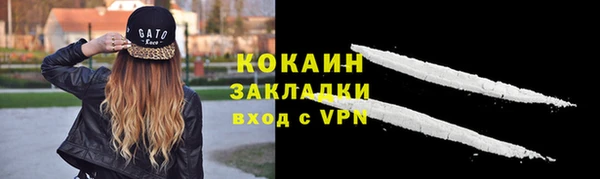 индика Няндома