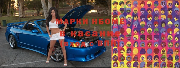 индика Няндома
