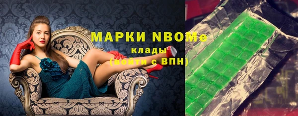 индика Няндома