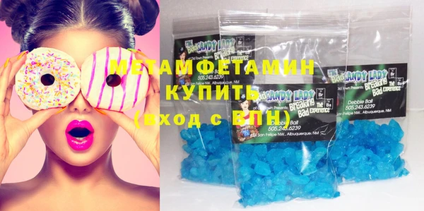 индика Няндома