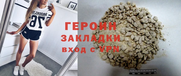 индика Няндома