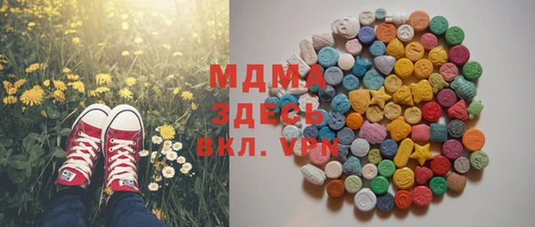 индика Няндома