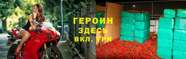 индика Няндома